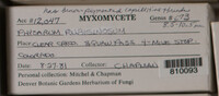 Image Associated With the Occurence